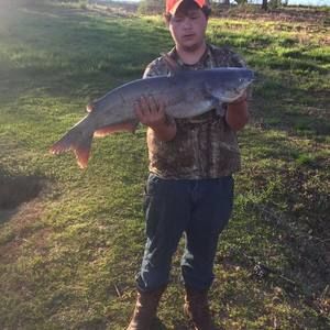 Meet your Posher, William